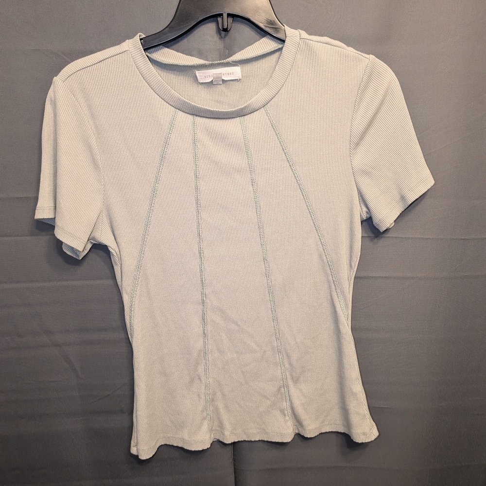 Gilded Intent Light Sage Ribbed Short Sleeve Tee